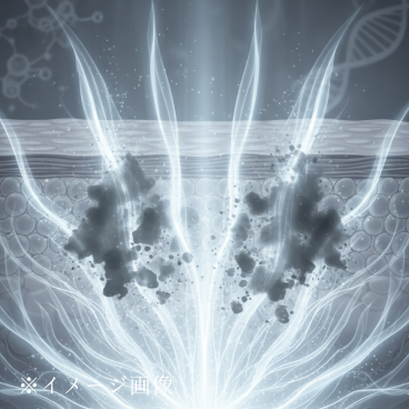 マグワ根皮エキス