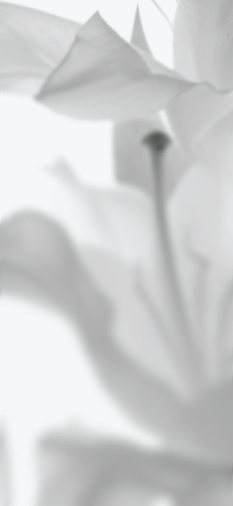 Brand Story Background